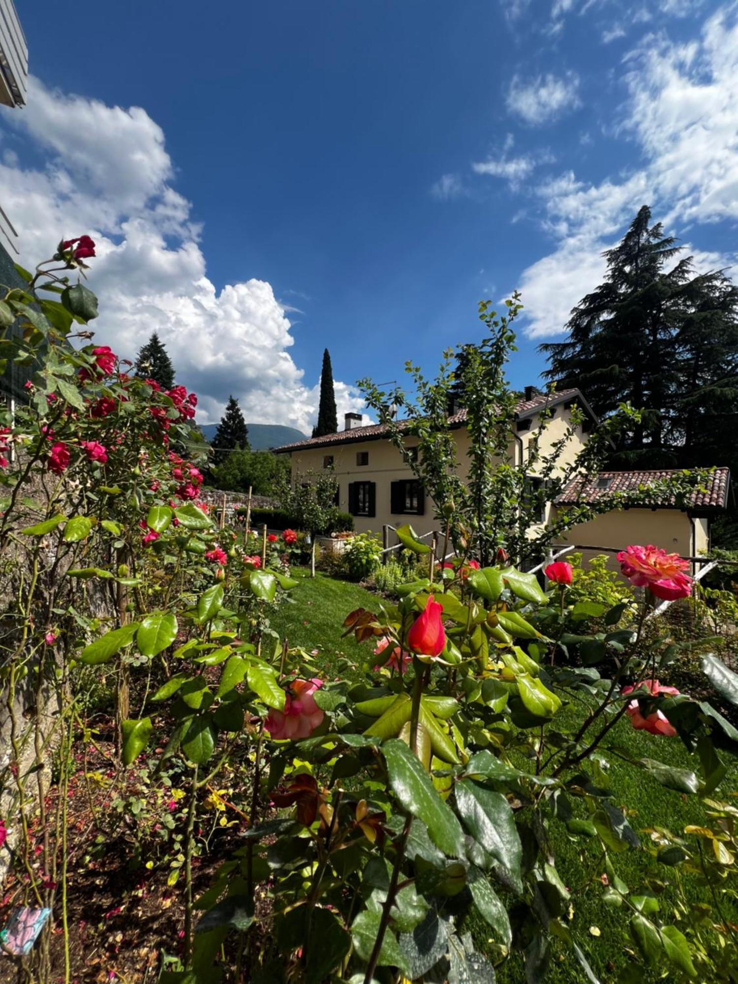 B&B Ca'Rina Rovereto  Exteriör bild